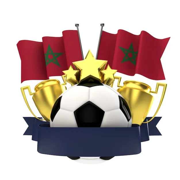 V体育VIP官网·位置预览